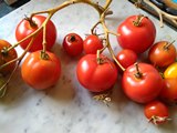 Barwinnock Tomatoes